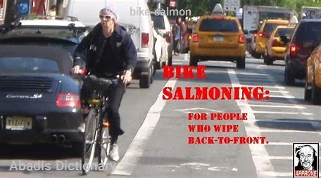 bike salmon